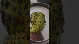Soursop or Laxman phal for cancer treatment