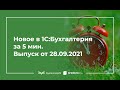 Налоговые платежки с 01.10.2021, выпуск продукции по продажам в 1С, выплаты самозанятым и другое