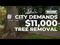 City demands portland homeowner pay 11000 to cut down elm tree within 30 days