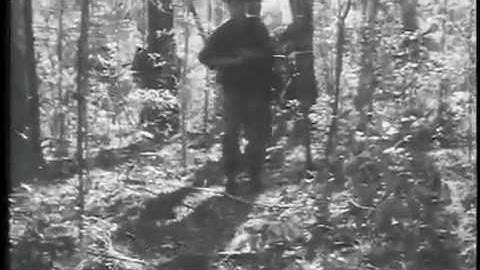 TF 21-3908 - 1968 - Rifle, M16A1 Part 2 Field Expedients 1of3