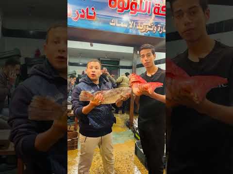 هو ده الحي اللي لسه جاي مع حودا العو