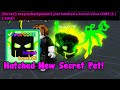 I Hatched New Secret Pet In Mining Simulator 2!