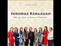 Surorile Bargauan -  Cum pot sa descriu iubirea (cover Ligia Bodea)