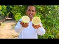 BAGH LAGAYA | Garden Cultivation | 20 Types Fruits Tree | Mubashir Saddique | Village Food Secrets