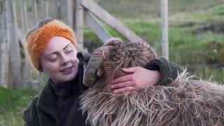 Wool in the North - The Faroe Islands