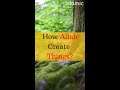 How allah create things allah ki qudrat  islamicservant shorts