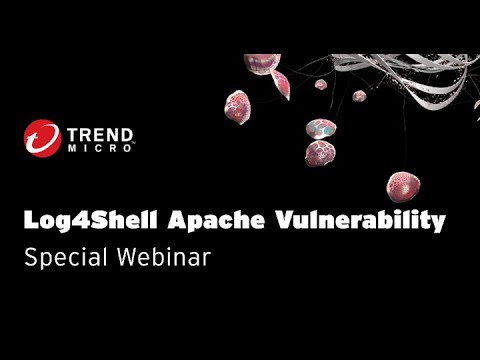 Log4Shell Apache Vulnerability: What to Know and What to Do