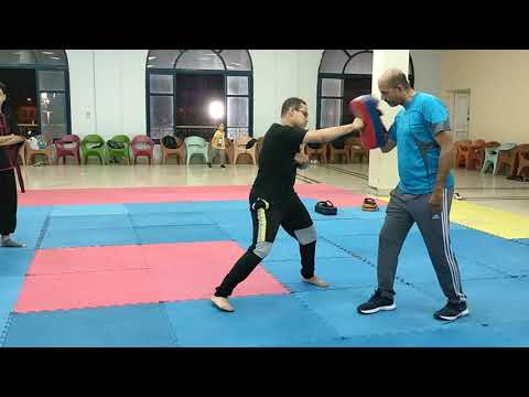 تدريب ساندا كونغ فو مهارات اللكم والركل