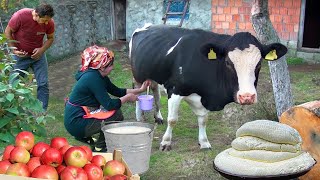 Изготовление сыра в домашних условиях | 1 час аппетитных рецептов сыра в деревне | ХАЧАПУРИ