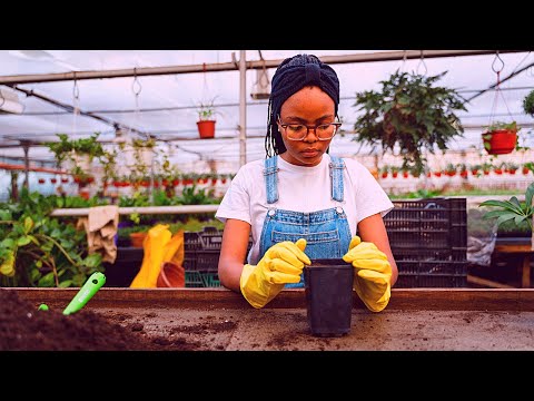 Agriculture Business Ideas For Ladies And Women