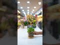 Luxury Artificial Plants & Mini Planters for Modern Homes🌿#artificial #plants #craft #shorts #diy