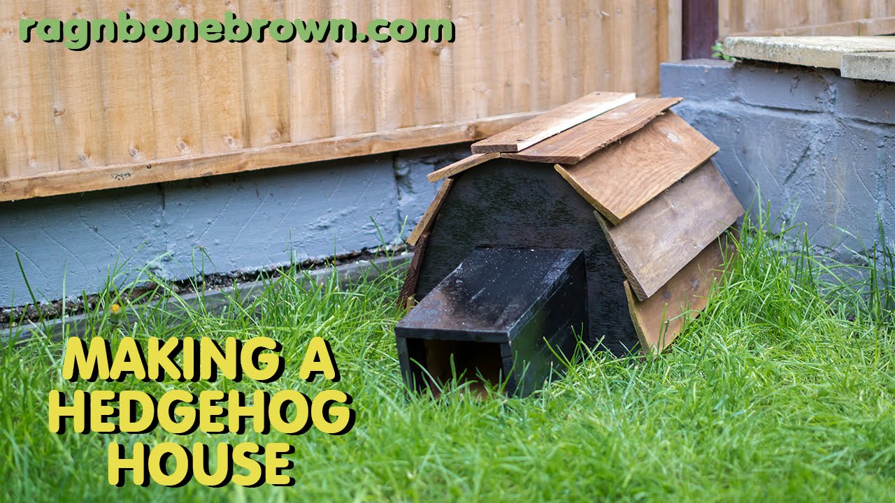 Making A Hedgehog House YouTube