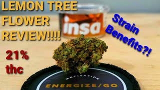 LEMON TREE flower REVIEW!!! BENFITS to this STRAIN!! TASTE AND FLAVORS!!