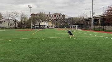 Sprint, Backpedal, Sprint