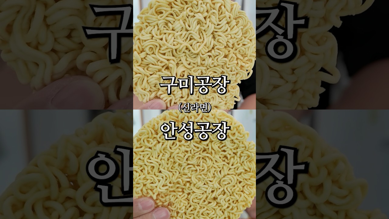 논란의 신라면 공장 별 비교 (ft.구미공장 vs 안성공장)