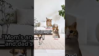 Httpsyoutubecomshortso7yjcf7sqkosid2hydp3afm8dcpzc