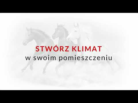 Wideo: Miasto kieszonkowe. 387 Miniaturowe domy autorstwa Petera Fritz