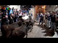 No pasaran 2023 - Peñiscola (Castellón) Becerras 25 y 26 Noviembre Bous de la Ribera [Toros FJGNtv]