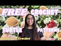 FREE Crochet Turtle Patterns 🐢 , Testing + Review! | Hooked on Crochet Ep.9