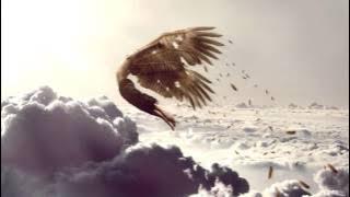 Ivan Torrent - Icarus 15 Minutes Version