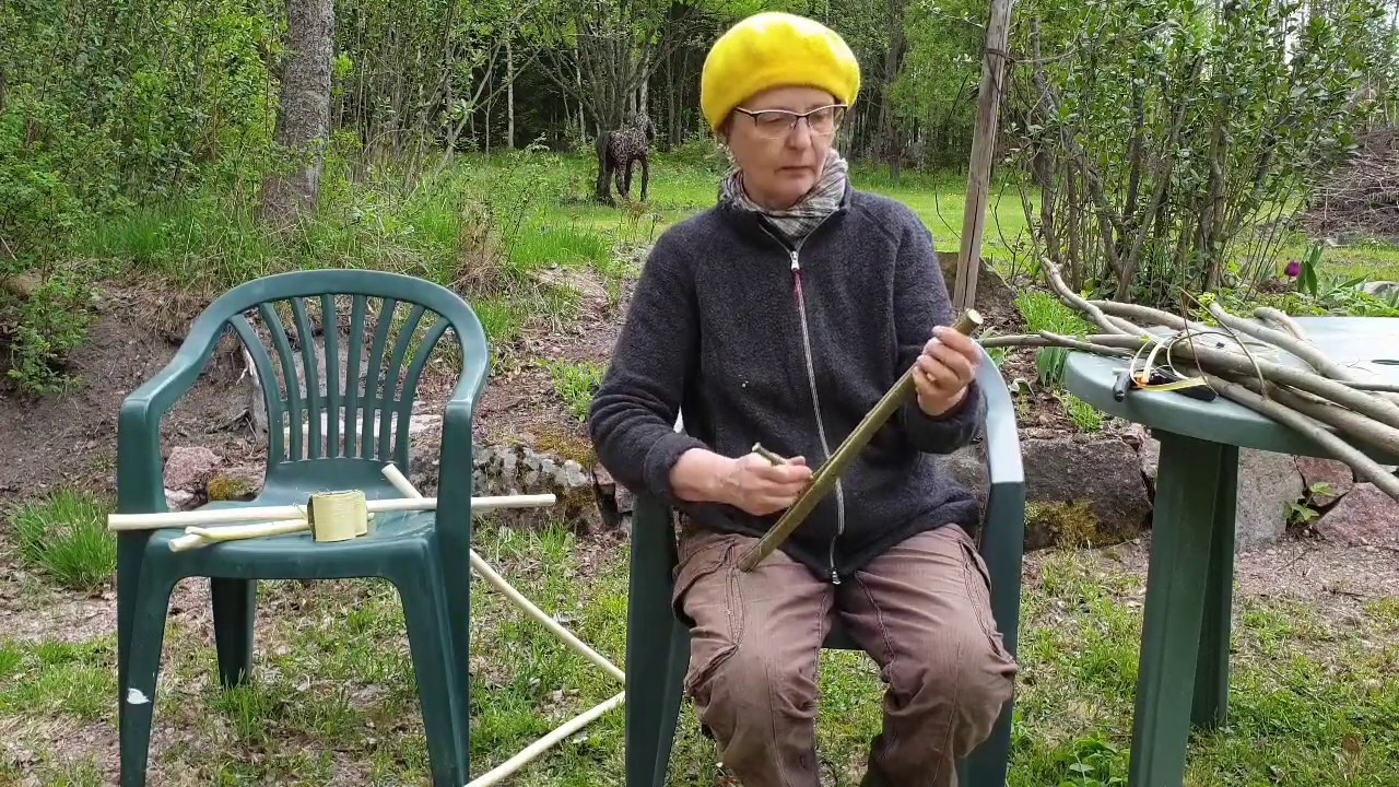 Pajunkuoren irrottaminen