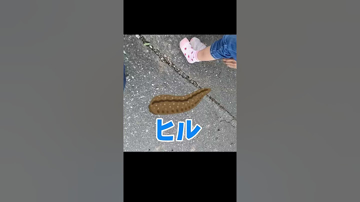 転んだだけなのに…　危険生物