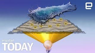 Graphene could kill off cancer cells and spare healthy ones | Engadget Today