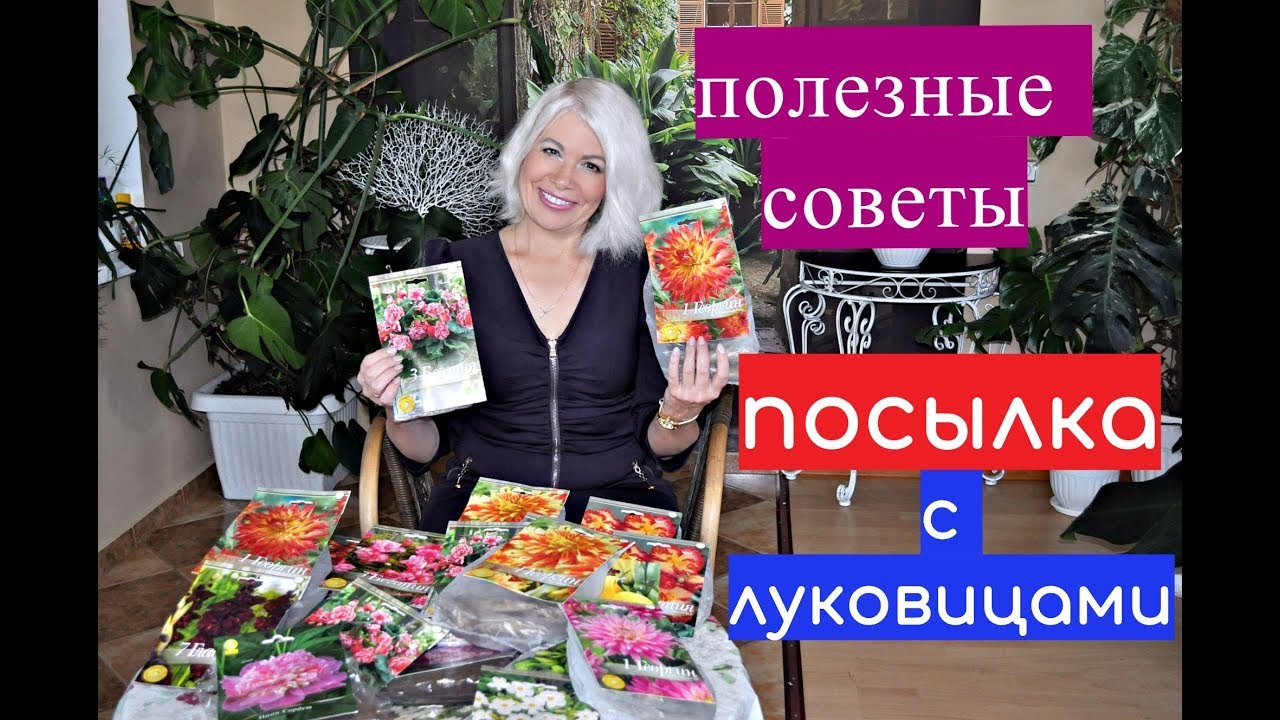 Получила посылку с луковицами. Полезные советы.
