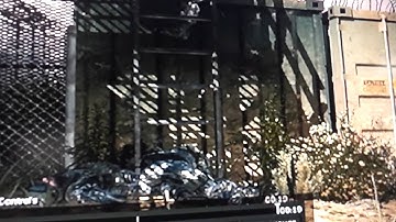 My cod Mw3 great File Share