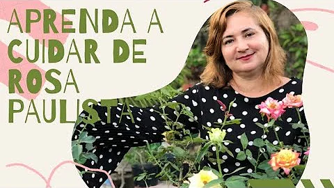 Qual o melhor adubo para rosas de Espinho?