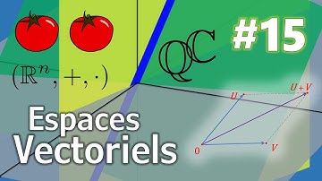 Thomaths 15 : Espaces Vectoriels (algèbre linéaire 1)