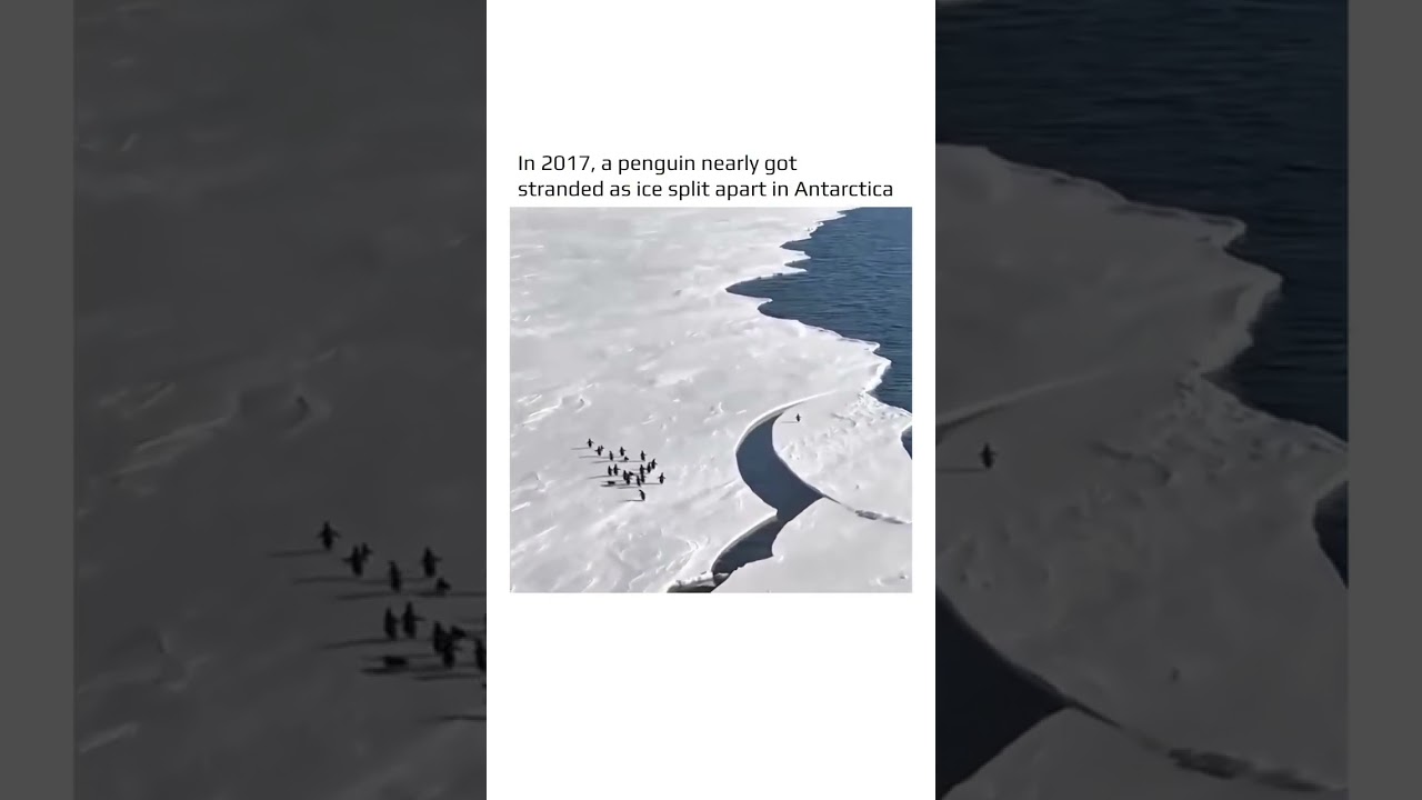 One second away from being stranded forever! 