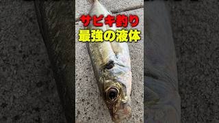 サビキ釣り最強の液体。 #short #shorts