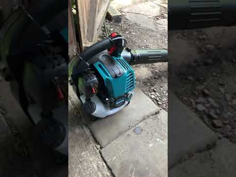 Makita BHX2501 Leaf Blower (Cold Start)