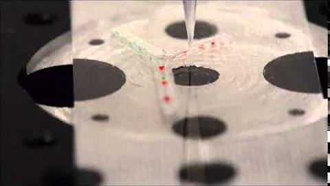 3D printing of a nerve regeneration guide