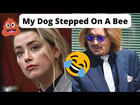 My dog stepped on a bee. #mydogsteppedonabee #rhymes #amberheard #fy