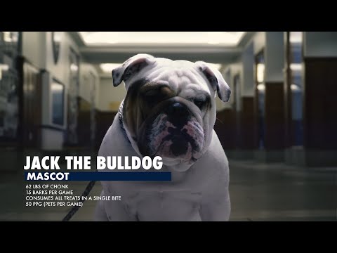 Jack the Bulldog