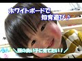 【知育動画】おうちで知育/ホワイトボード遊び【education video】
