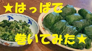 葉っぱで巻いただけでガチウマ【葉わさびおにぎり】作り方