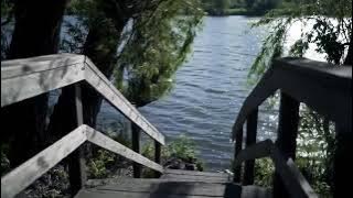 🌻 Cowboy Country Playlist – Traditional Country Songs & Heartfelt Cowboy Ballads