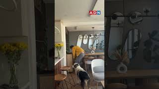 Terremoto de magnitud 7,4 sacude Colombia