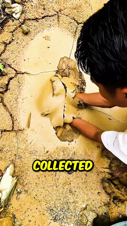 He found Gold 🤯