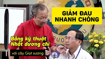 Thầy Tổ Bùi Quốc Châu hướng dẫn kỹ thuật Nhất dương chỉ- Giảm đau nhanh chóng với cây Giọt sương