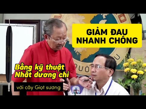 Thầy Tổ Bùi Quốc Châu hướng dẫn kỹ thuật Nhất dương chỉ- Giảm đau nhanh chóng với cây Giọt sương