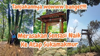 Mendaki Ke Atap Sukamakmur Puncak Halimun Ciputri 