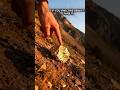 gold mining 2026,  gold from soil, blacksand #gold #goldmining #goldextraction