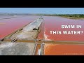 Burgas Salt Lakes 🇧🇬 natural PINK lakes | DRONE video