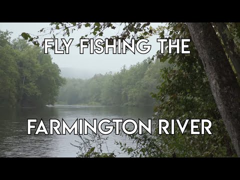 Video: Farmington River Tubing - Коннектикутта жайкы толкундануу
