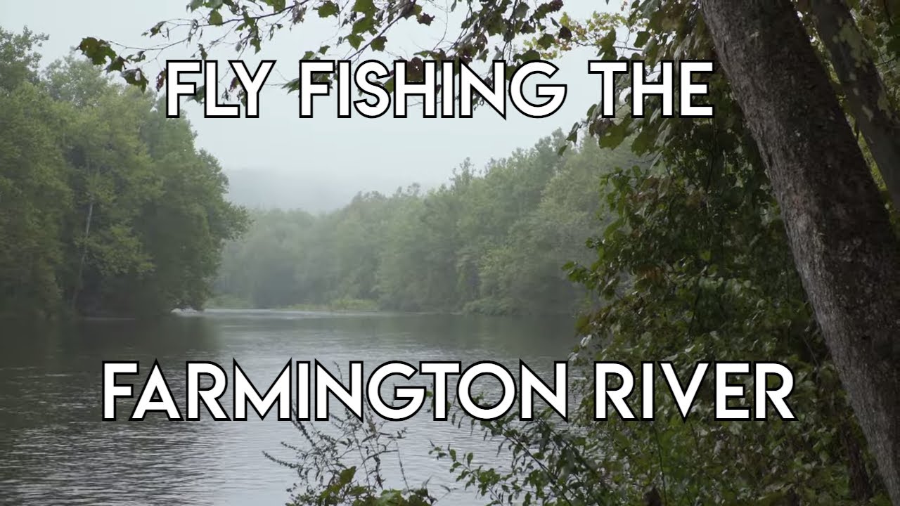 Farmington River Overview: Best Flies, Where to Eat and Stay, How