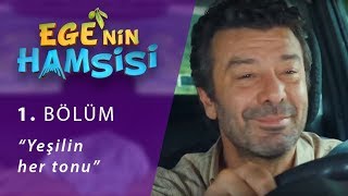 Yeşilin Her Tonu - Egenin Hamsisi 1. Bölüm